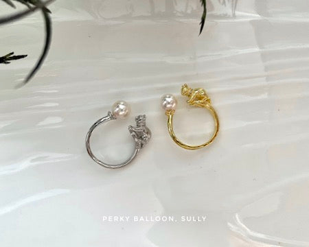 Sully ring