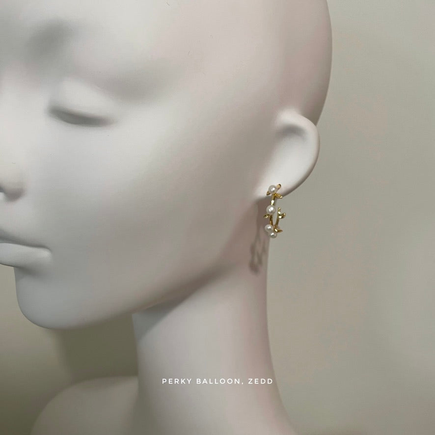 Zedd earrings
