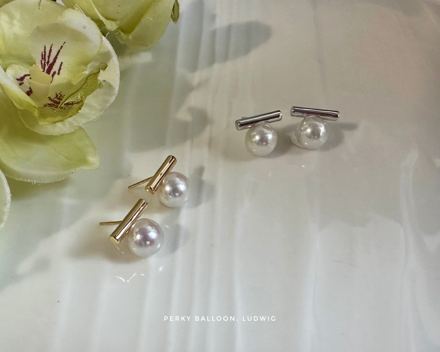 Ludwig earrings