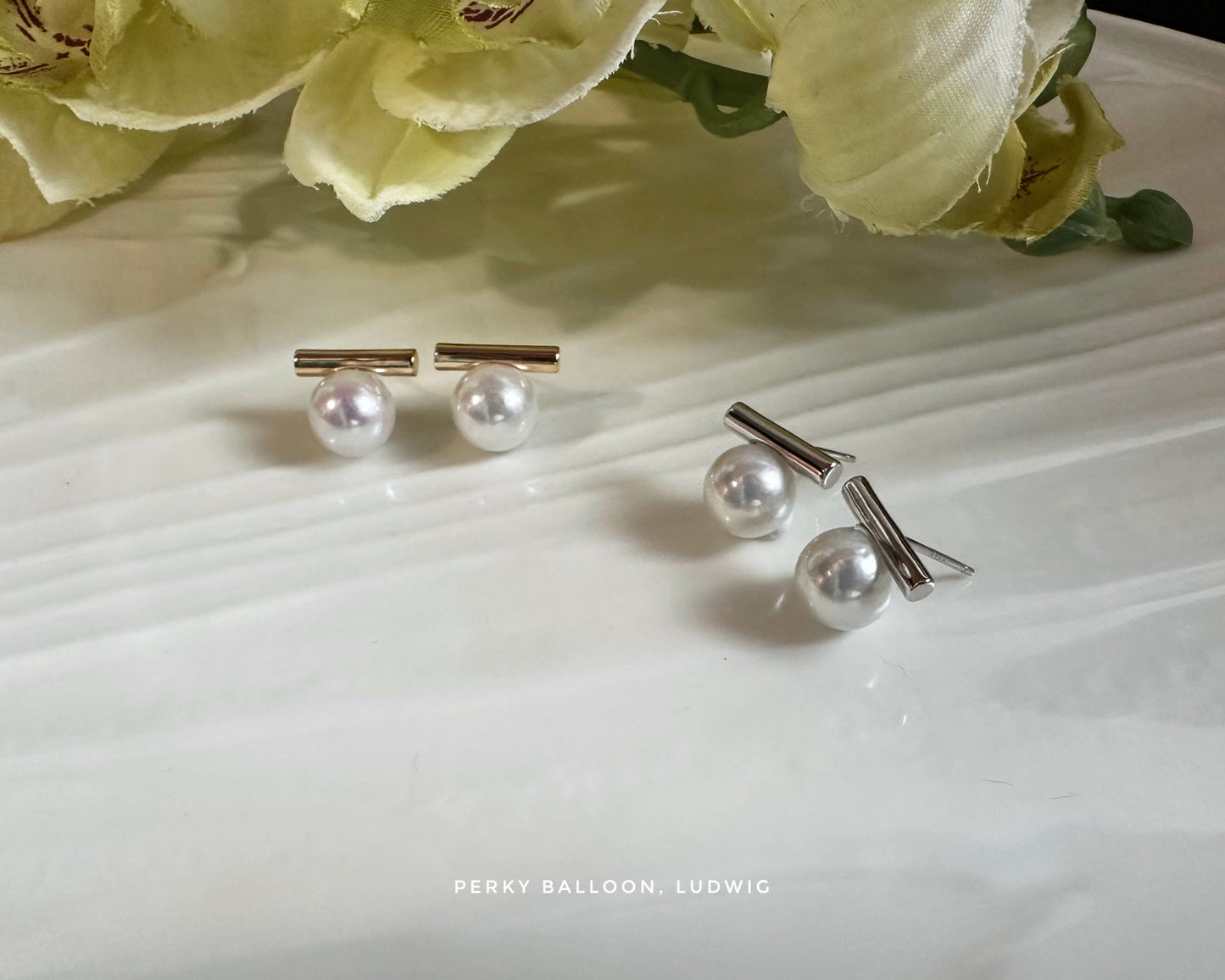 Ludwig earrings
