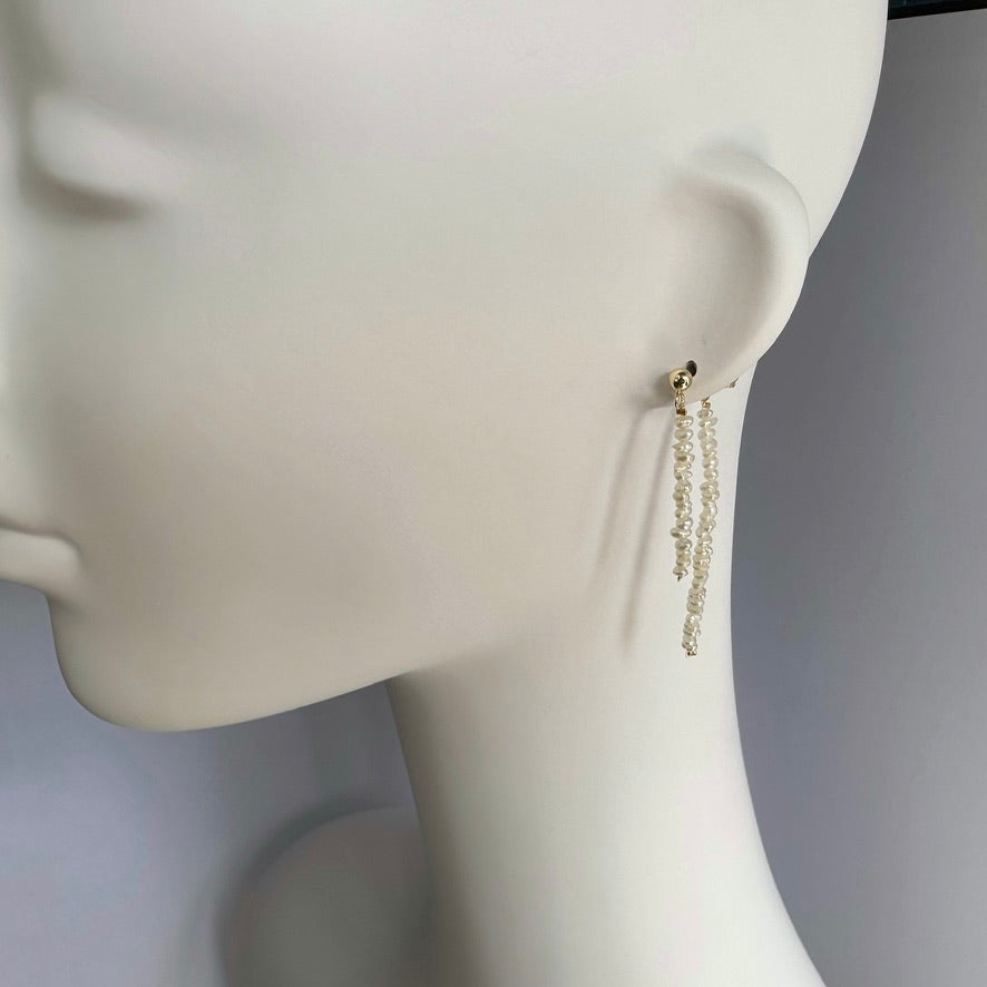 Celine earrings