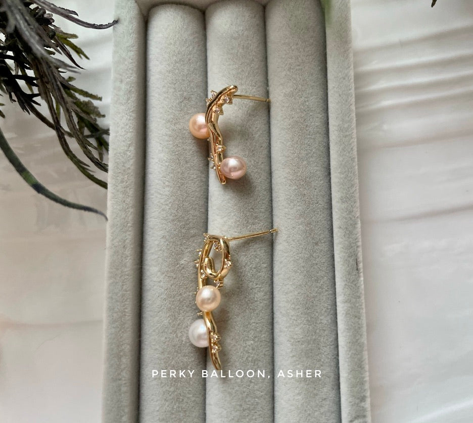 Asher earrings
