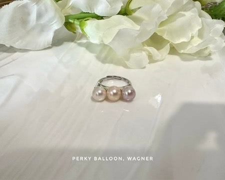 Wagner ring