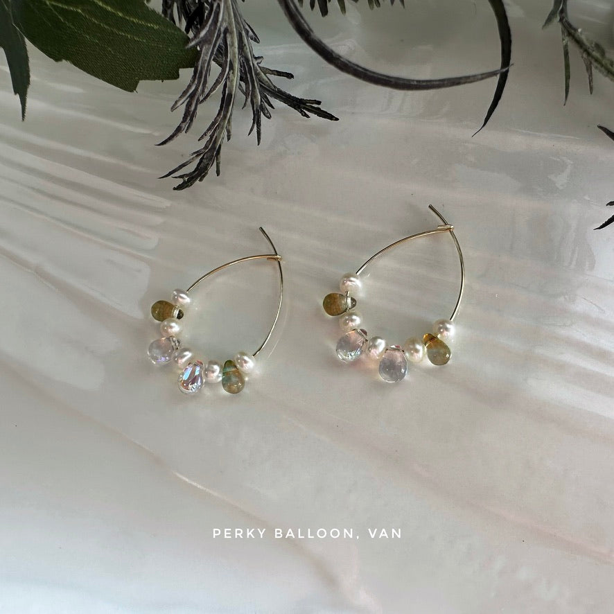 Van earrings
