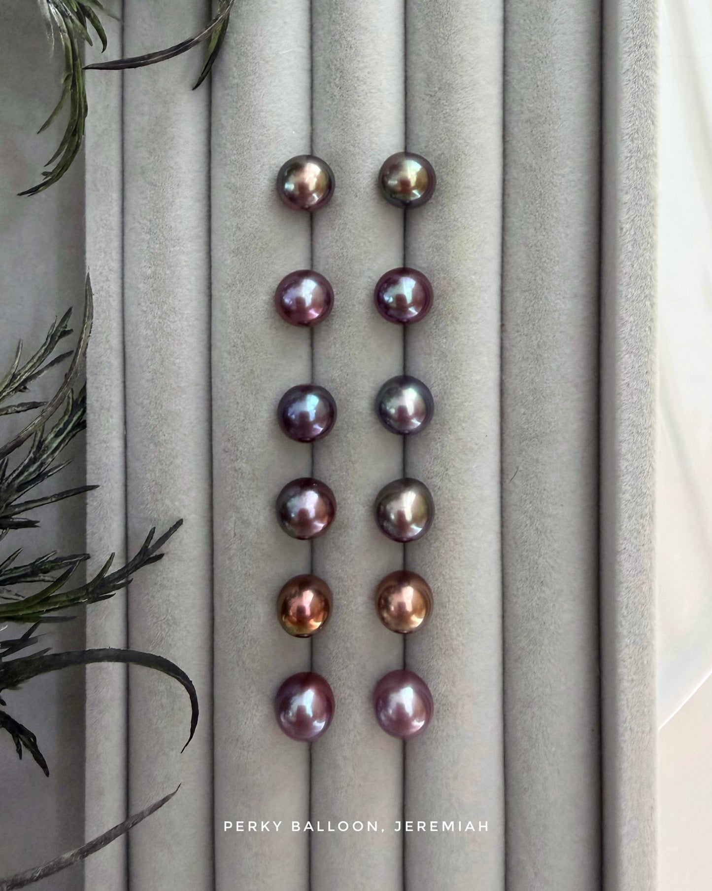 Jeremiah earrings