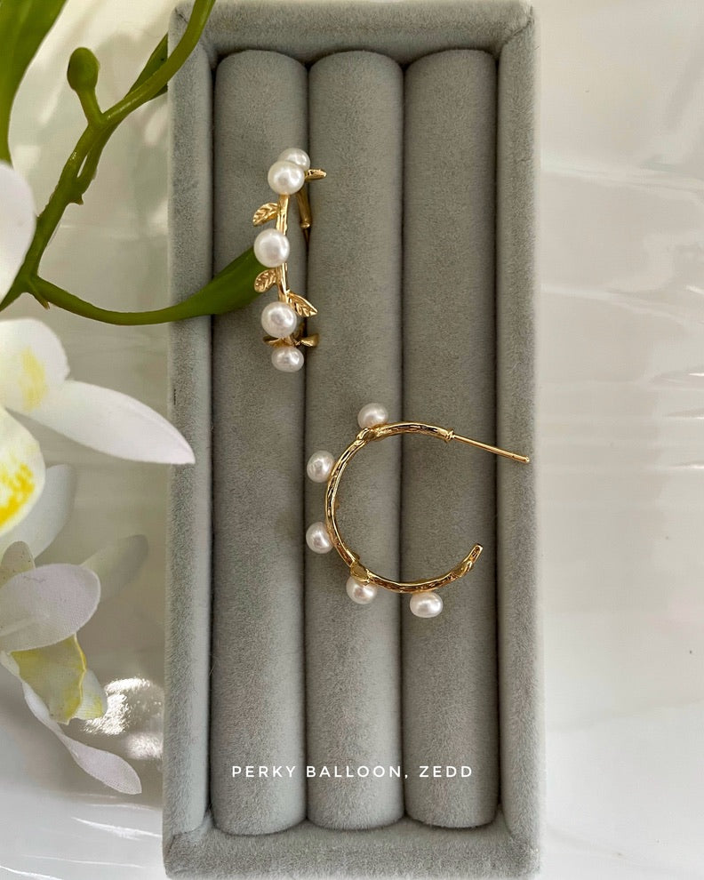 Zedd earrings