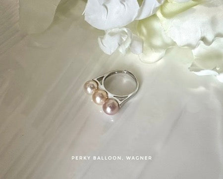 Wagner ring