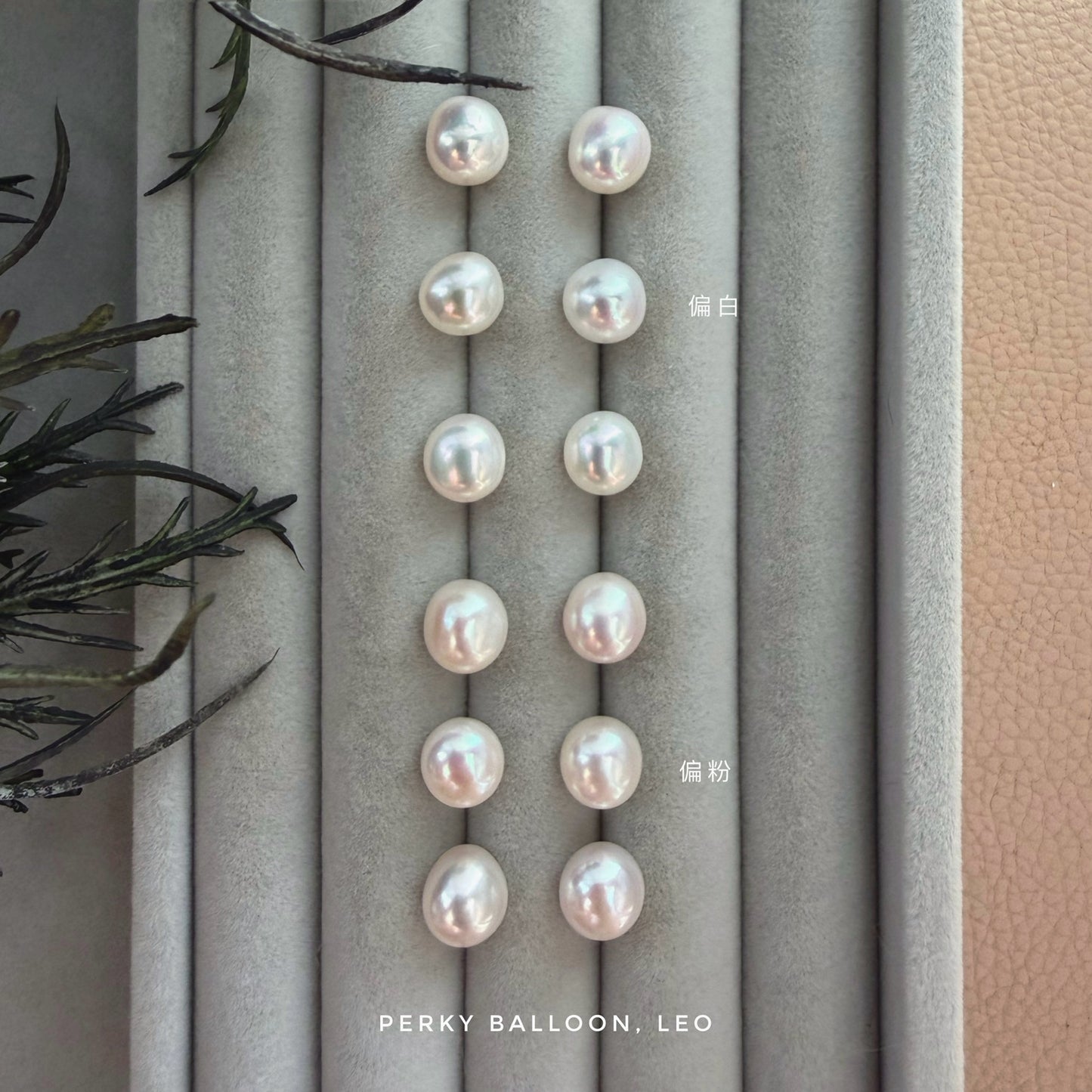 Leo earrings