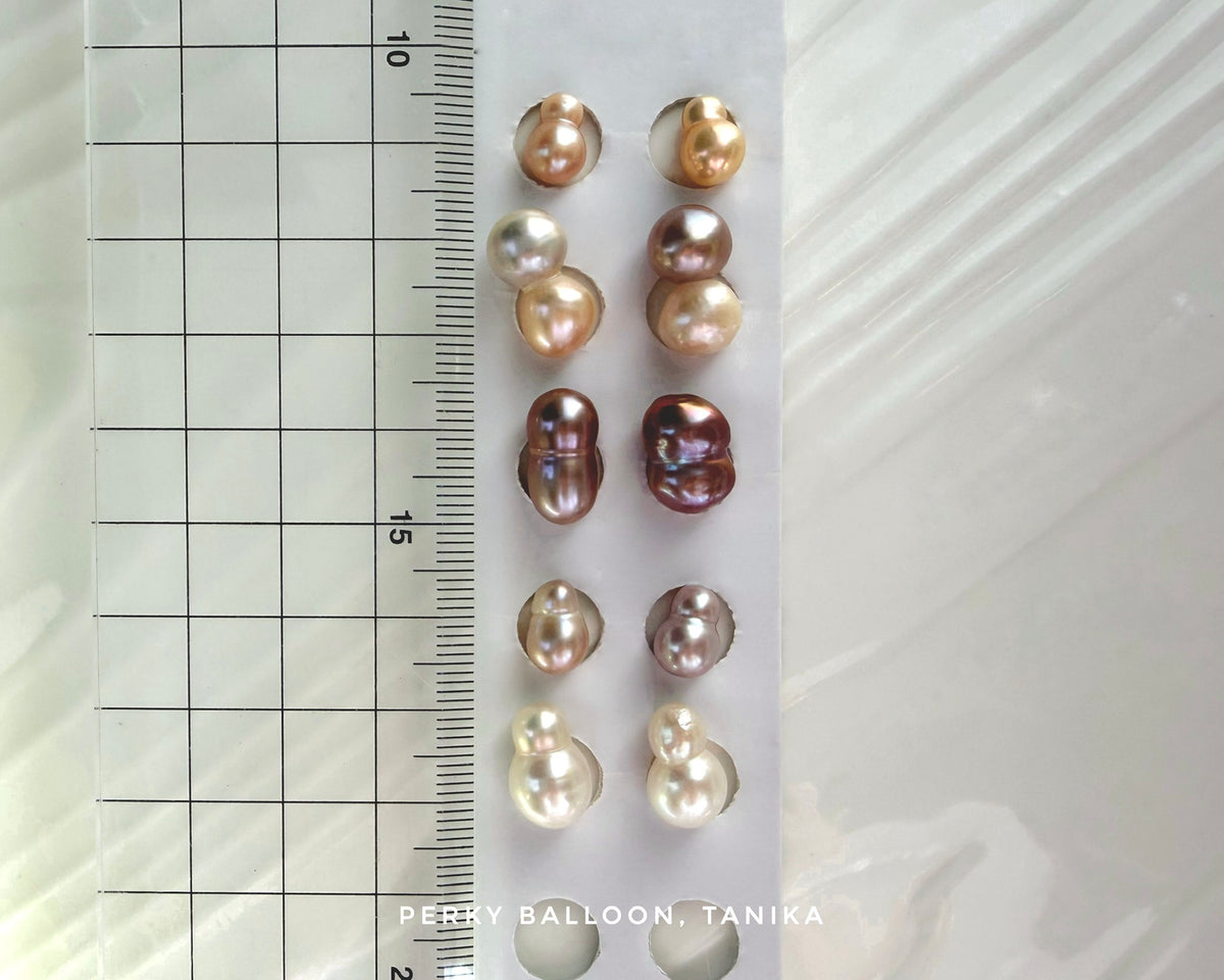 Tanika earrings