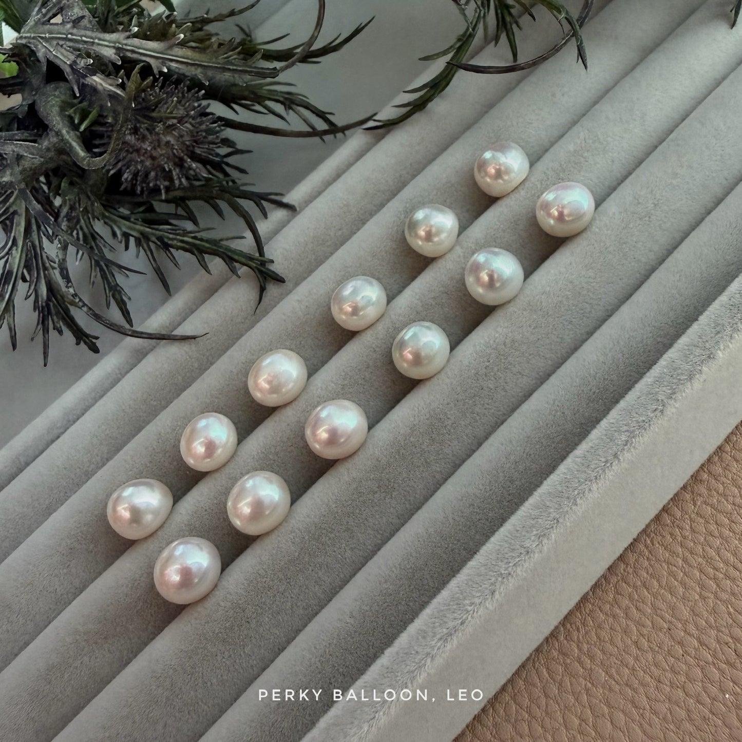 Leo earrings