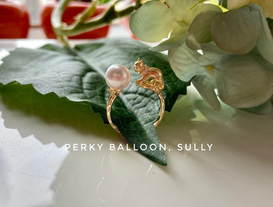 Sully ring
