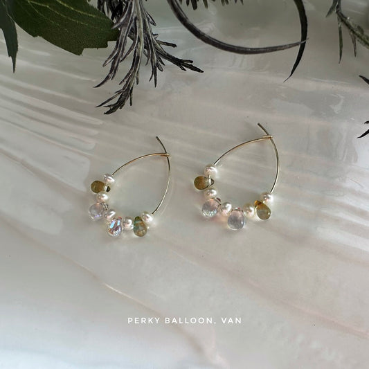 Van earrings