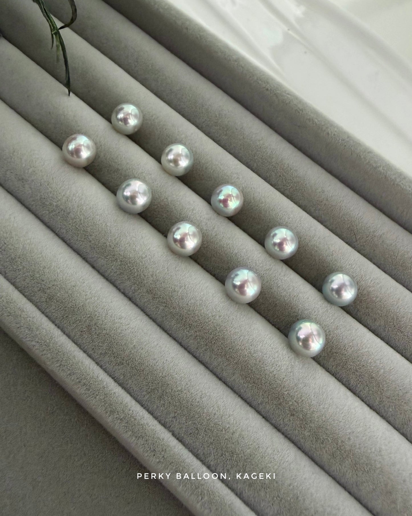 Kageki earrings